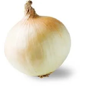 Fresh Onion Available In Bulk