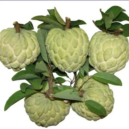 Свежие фрукты из яблока, разные весы