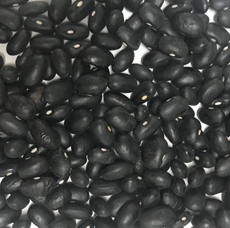 Online Selling Of High Stock Black Eye Beans As Kidney Beans With High Purity At Wholesale Price (1600491901022)