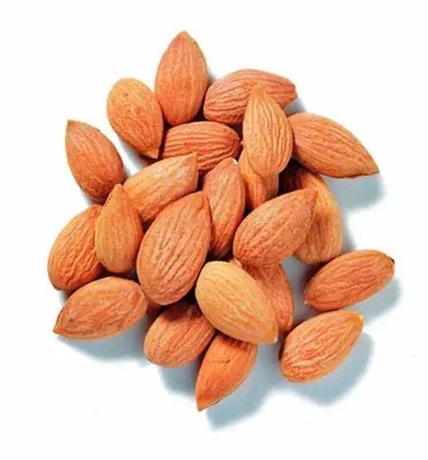 Wholesale Bitter Apricot Kernels