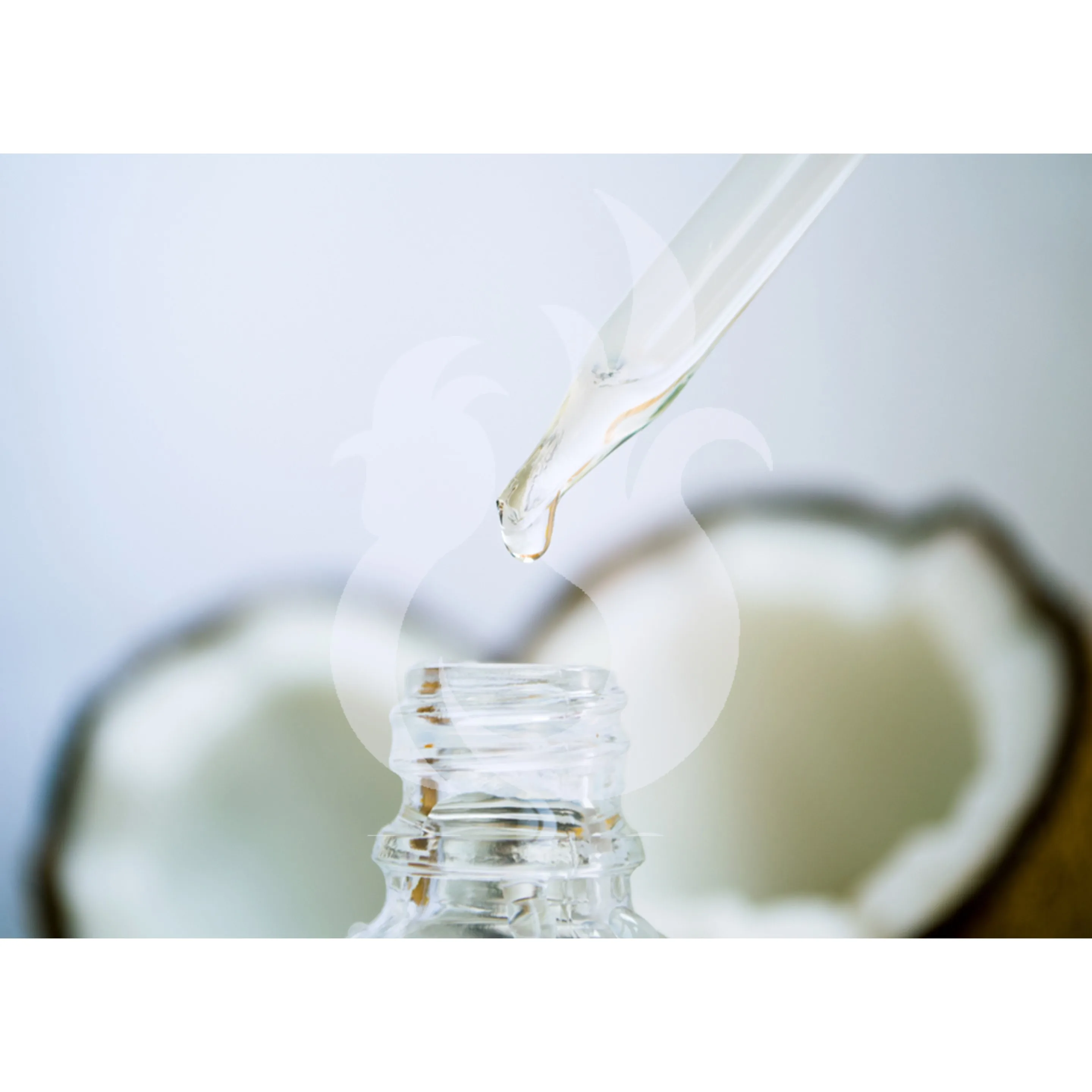 Wholesale Price Virgin Coconut Oil VCO from Indonesia