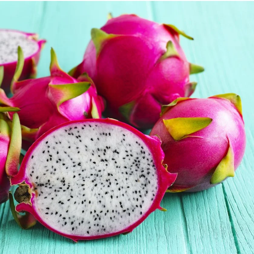 FRESH RED PITAYA FRUIT FROM VIET NAM /+84 901445086