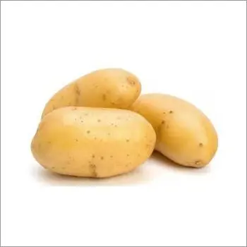 High-quality Yellow Fresh Organic potato/fresh potato price/Russet potatoes bulk