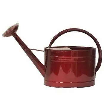 Оцинкованная Цветочная поливальная банка красного цвета ручной работы из железа для дома и сада декоративный цветочный плантатор