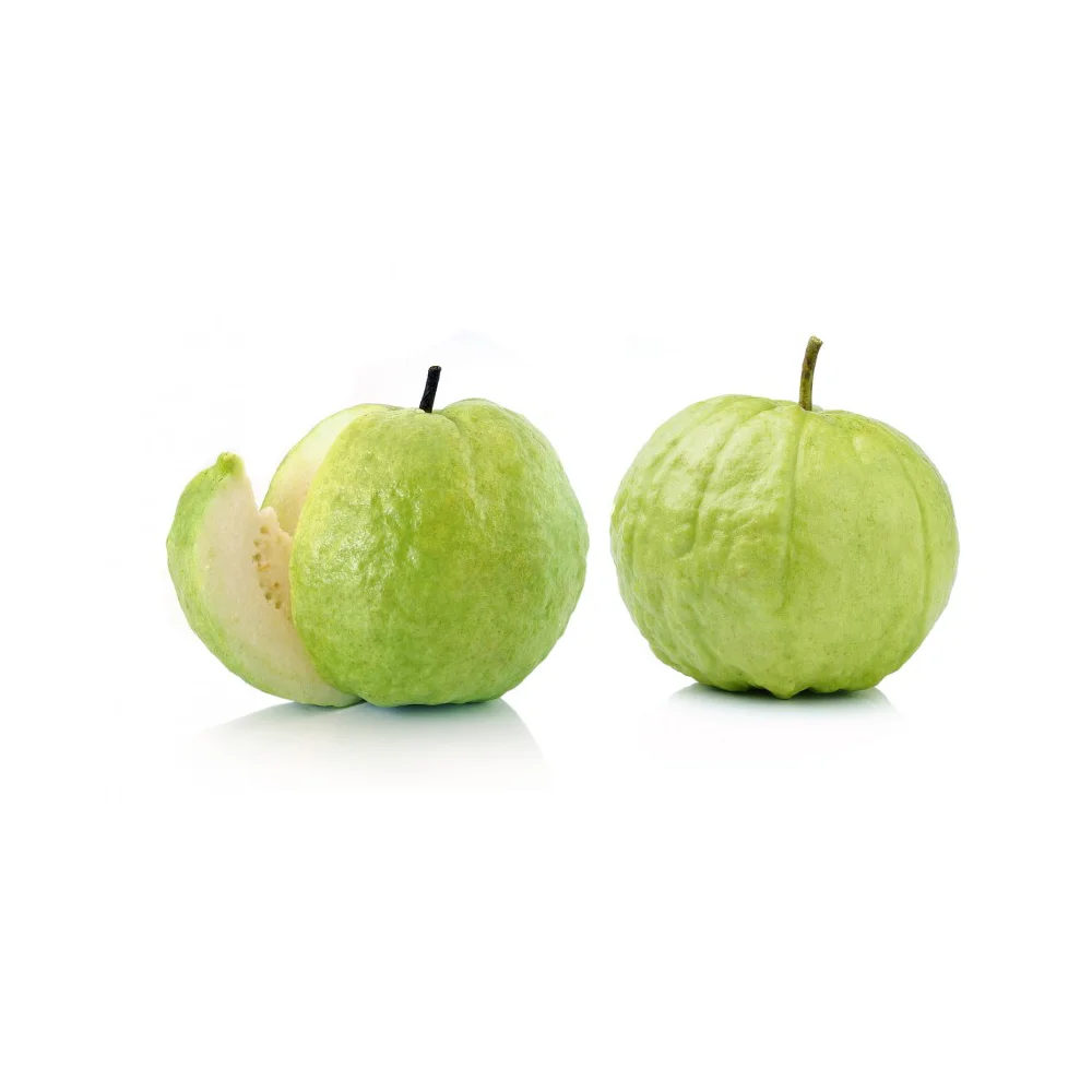 
Guava of Vietnam Green Premium Sweet Style Weight Skin Natural ORIGIN Type Shape Quality 