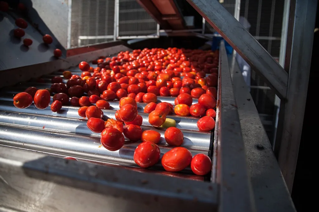 Private Label Top Quality  Italian Cherry Tomato Puree in glass 420g