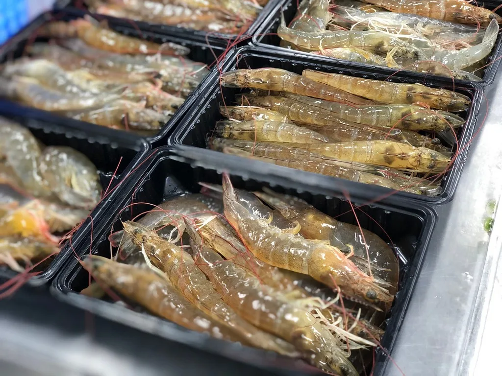 High quality Wholesale Raw HOSO Vannamei Shrimp Head On Shell On  Vietnam Fresh Seafood ready to ship, export