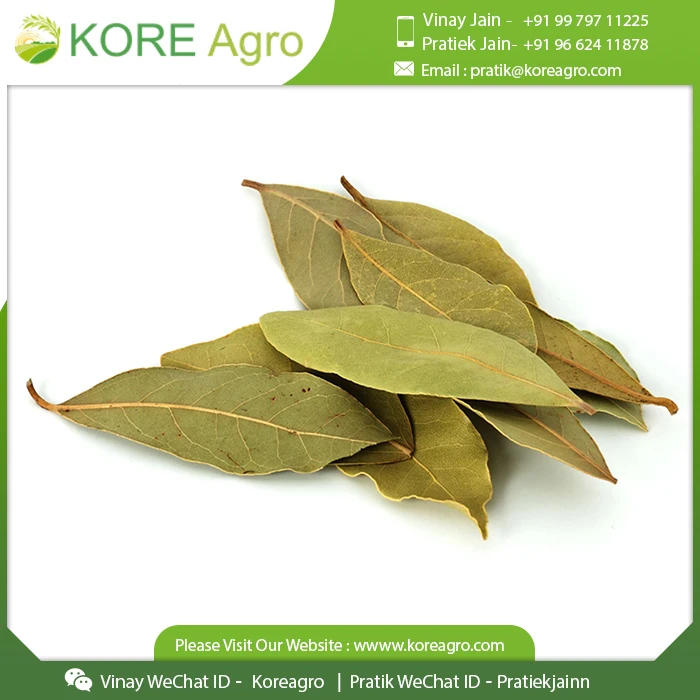 Лучшие продажи Bay Leaf 100% Натуральные Сушеные пищевые ароматизаторы специй трав для приготовления пищи и смесь масала сырье поставщик с MOQ принимается