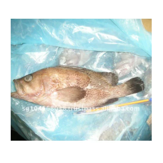 Замороженный куриный орех, цельный орех, размер 400-600 и упаковка BQF 10 кг x 2/ctn