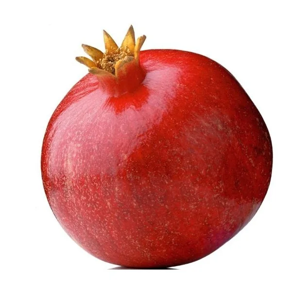 Wholesale Dealer Of Cheapest Price Fresh Fruit Pomegranates