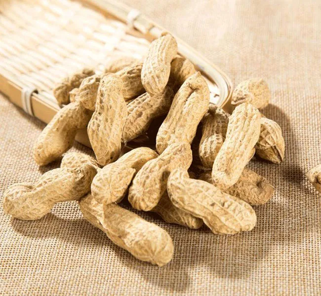 Industrial Agricultural Safety Products Wholesale High Quality Grade Moisture Red Skin Peanut