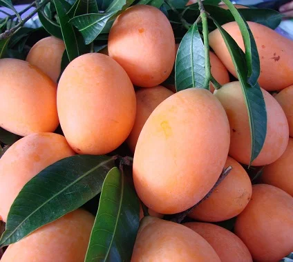 100% Fresh Marian Plum