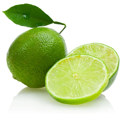 Frozen vietnamese lime fast delivery good price +84816719979