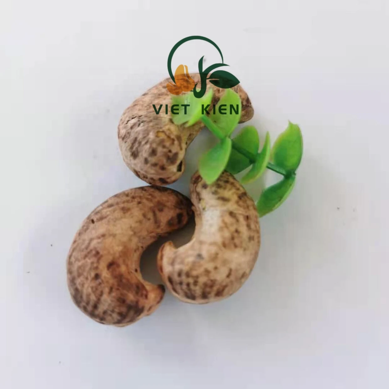 HOT SALE 2021 VIETNKIEN roasted cashew A180/A210/A240/A320