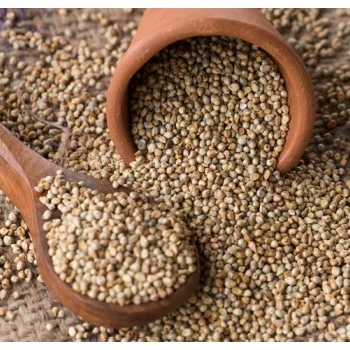 Brown Organic Buckwheat Grain High Quality for sale