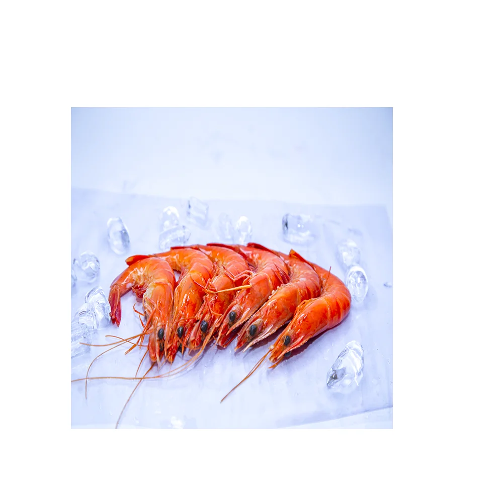 Best Black Tiger Shrimp With 24 months Shelf Life And Bulk Packaging And Custom Weight From Viet Nam