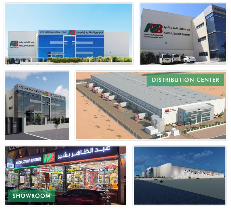 Electric Engine Displacement 230-240V One Year Warranty Raser E300 Petrol Lawn Movers