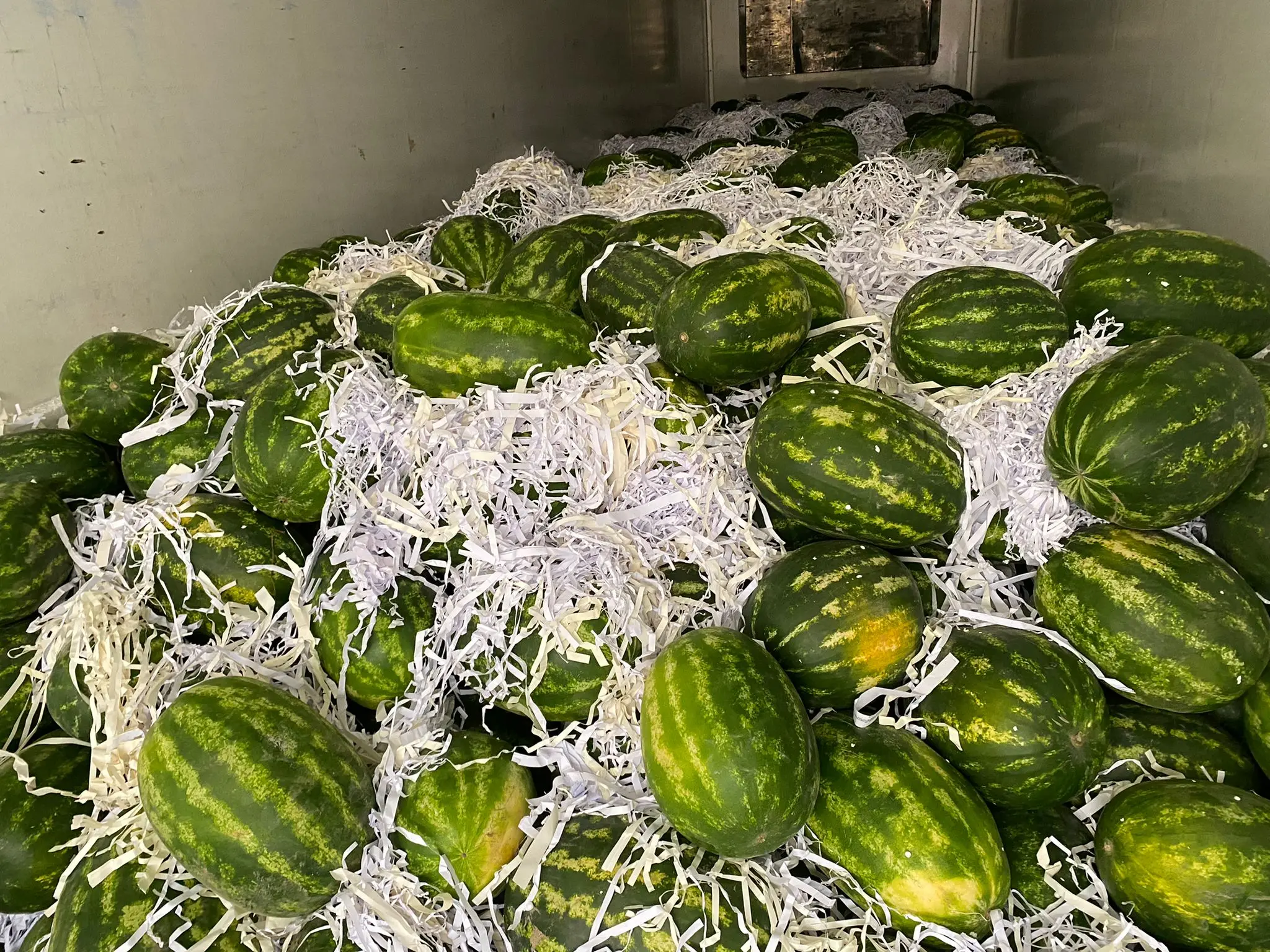 WHOLESALE TURKISH TOP QUALITY SWEET JUICY WATERMELON