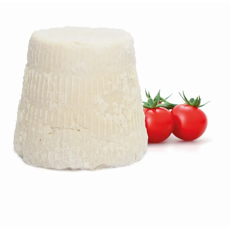 High Quality Italian SALTED RICOTTA cheese 0,5kg for export