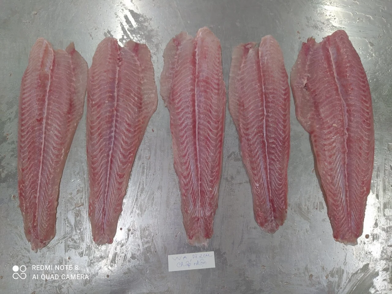 Best Seafood Pangasius/ Basa fish fillet, Untreated VietNam Product