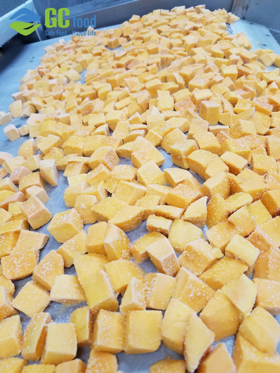 Hot Mango Pulp - Frozen mango dice from mango fruit - Block shape - 12 months shelflife- Bulk Packaging