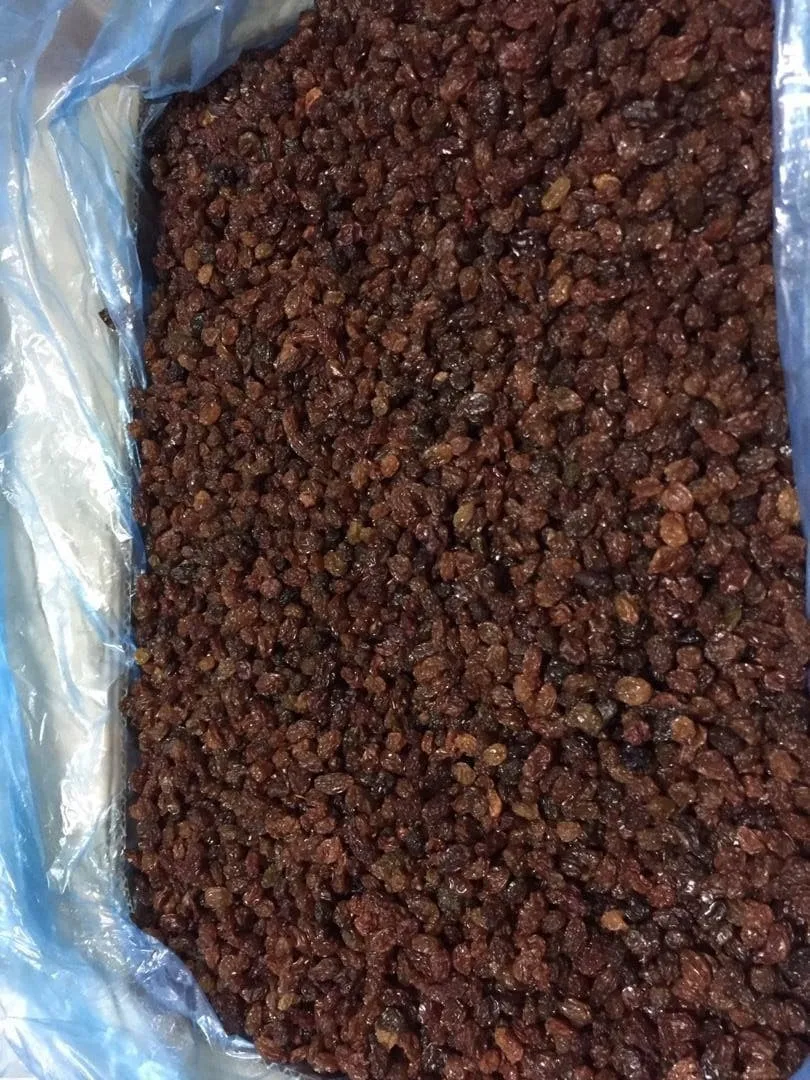 Wholesale crop 2021 October best quality from Uzbekistan bags 25 kg  organic dried fruits black raisins