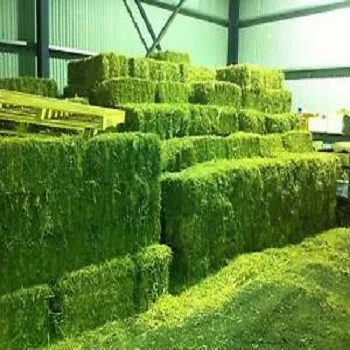 UKRAINE  Alfalfa Hay for Animal Feeding Stuff Alfalfa / Alfalfa Hay FOR SALE