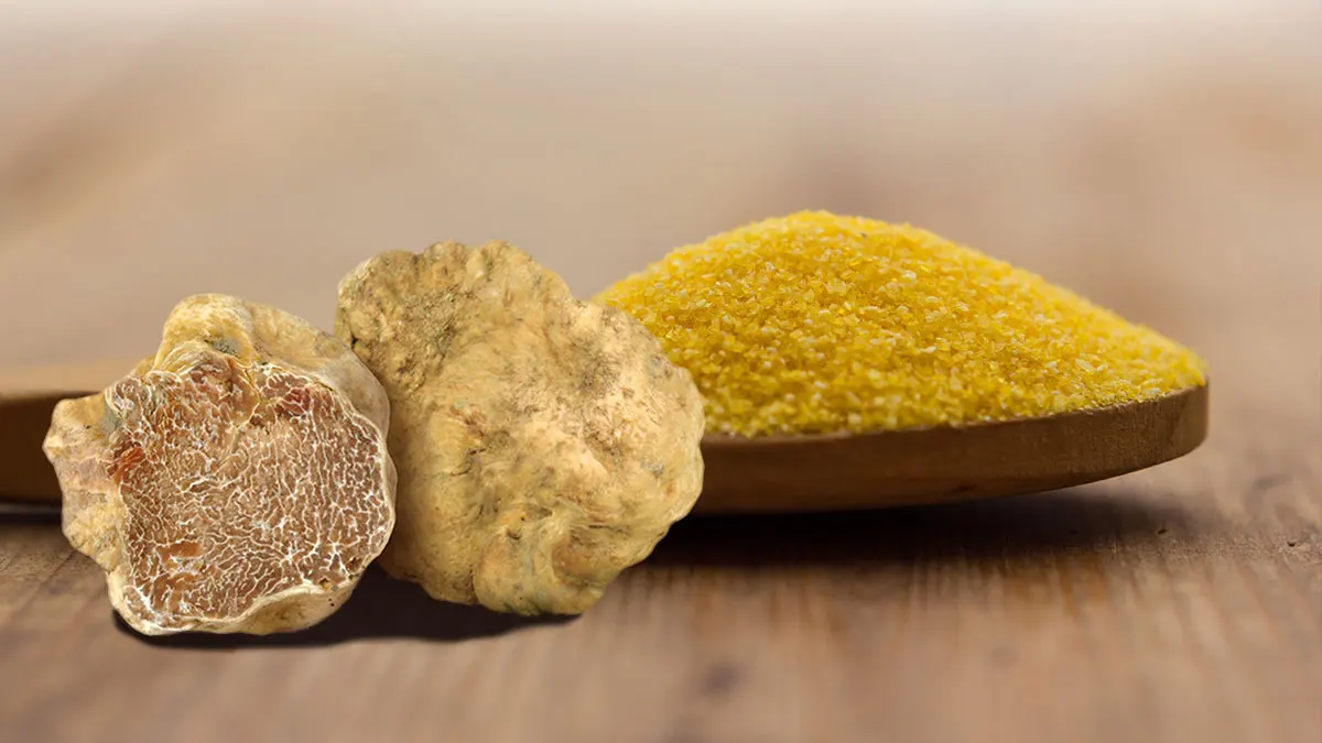 100% made in Italy Corn flour yellow for instant polenta whit truffle 250g polenta ready in few minutes to be delivered