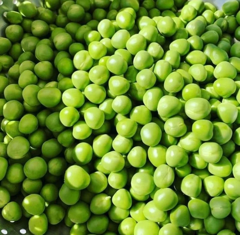 High Quality Dried Green Whole Peas at Cheapest Wholesale Prices Available In Huge Stock