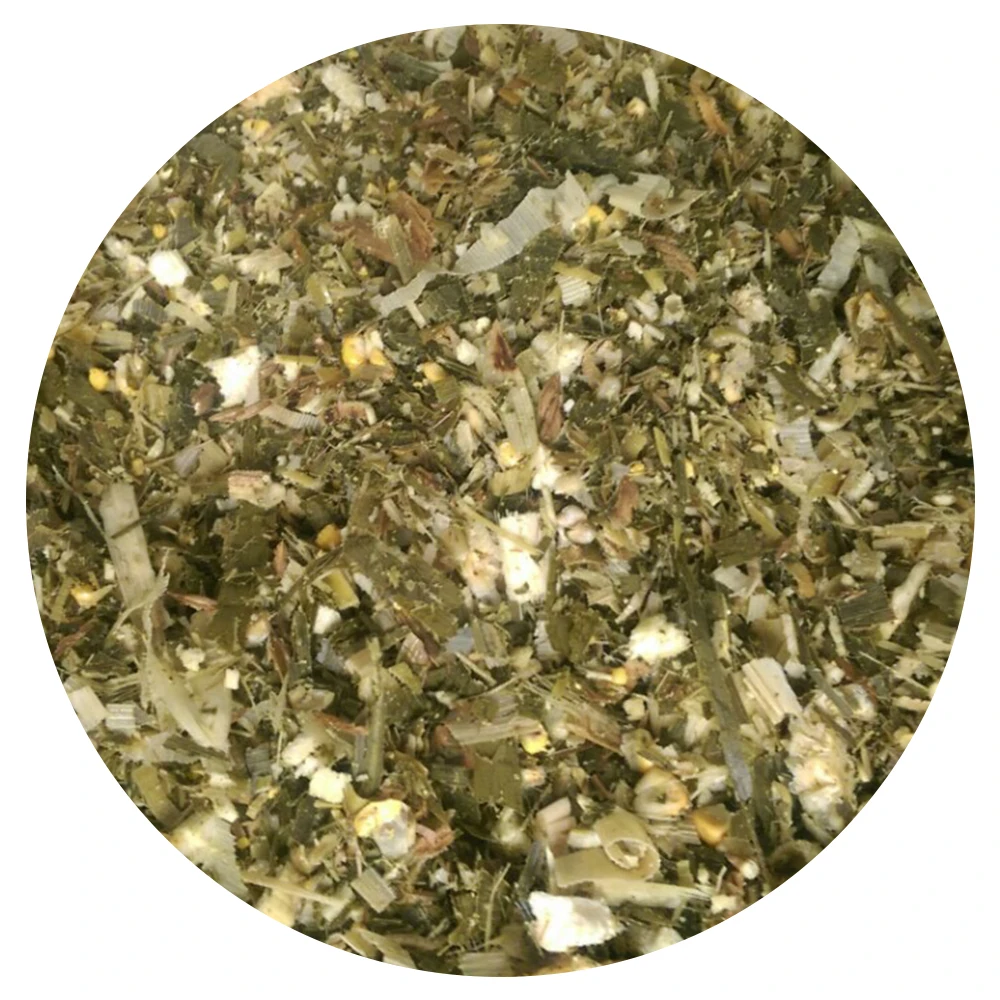 
Corn Silage High Quality Cheap Price/ Corn Silage in Vietnam/ Corn Silage for Animal Feeding 