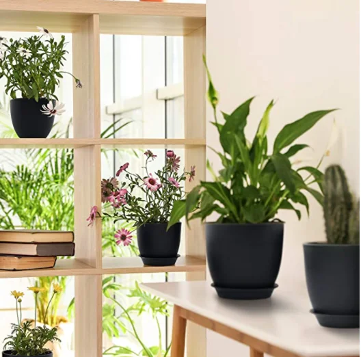 Custom Sizes And Logo Plastic Plant Pot With Drainage Hole Tray Decorative Planters For Flowers Succulents Cactus Plants