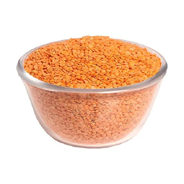 New Arrival masoor dal(red lentils) In Stock