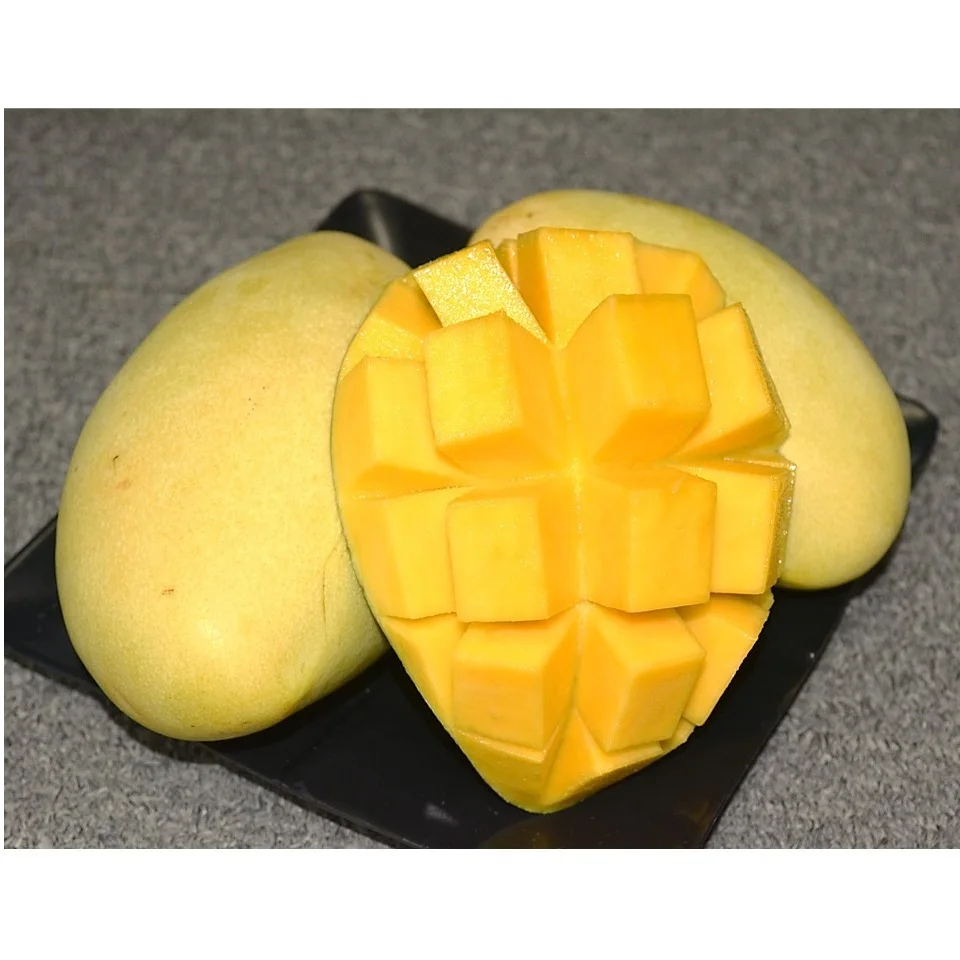 The Best Selling High Quality Fresh Sweet Cat Chu 12 Degree Up Mango Chunk From Vietnam 2021