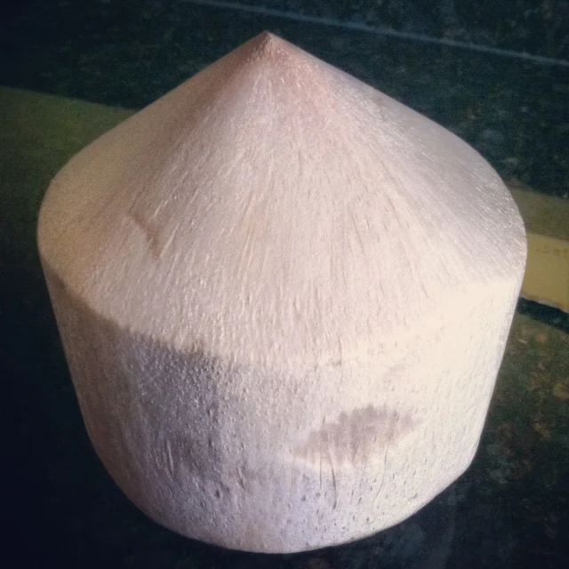 ATL GLOBAL VIET NAM FRESH YOUNG COCONUT WATER