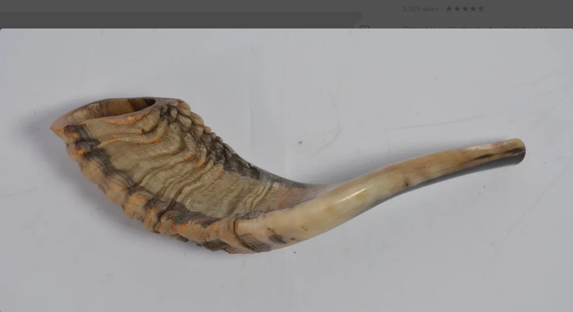 Оптовая продажа, большой гудок ОЗУ, Кошерный естественный полированный музыкальный инструмент Shofar, используемый для еврейских религиозных целей