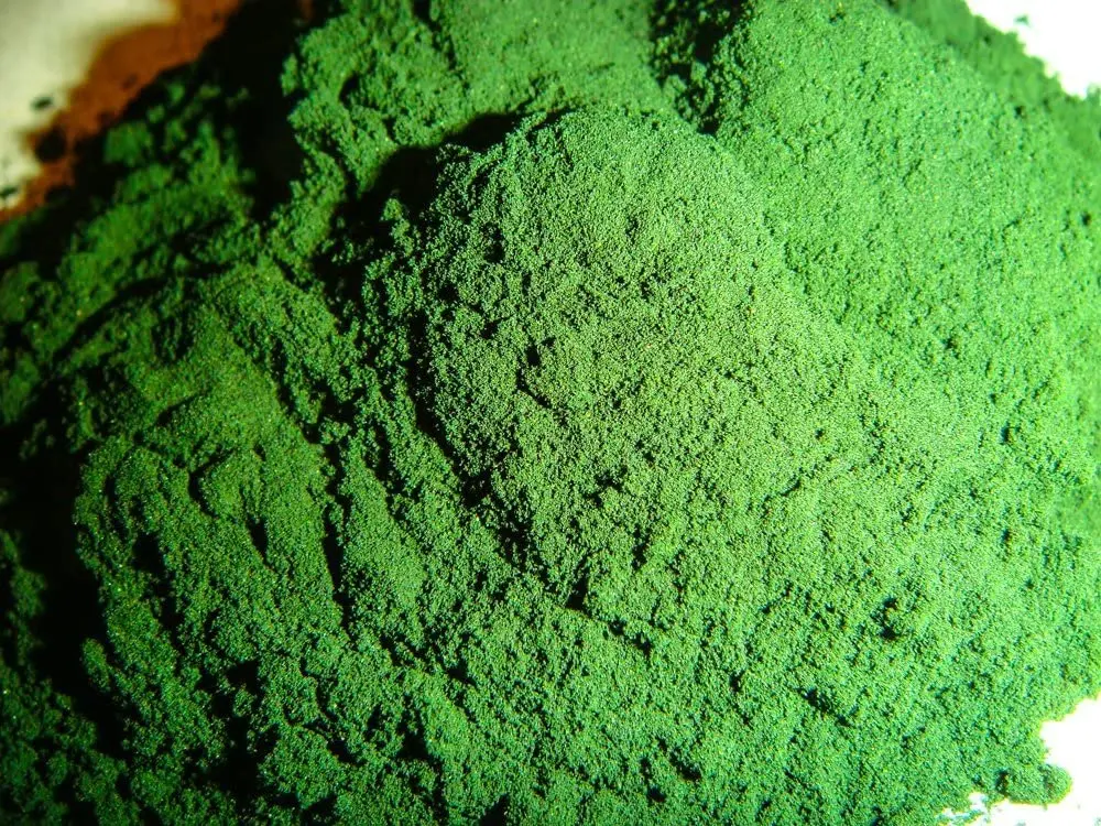 Сушеный порошок из зеленых водорослей/ULVA lктука Вьетнама госпожа KIO HYUNH + 84 34 375 8904