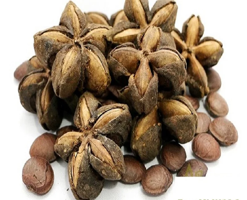 Roasted SACHA INCHI NUT / Toasted Sacha inchi nut Peru