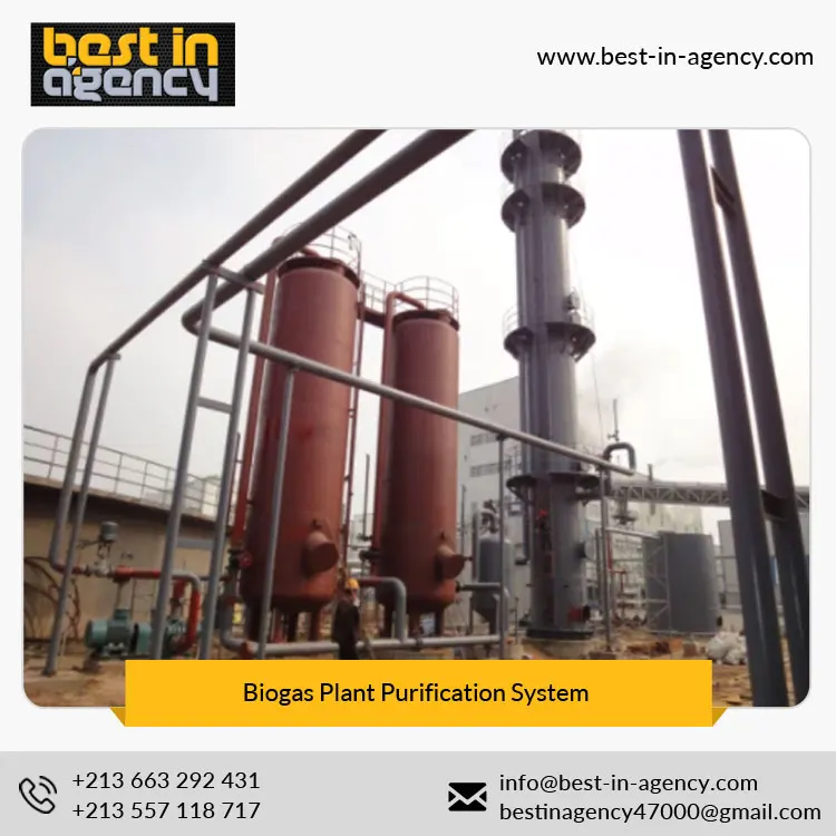 Dry and Wet Anaerobic Biogas-Nature Gas Conversion Plant Upgrading/Decarburization/Purification System