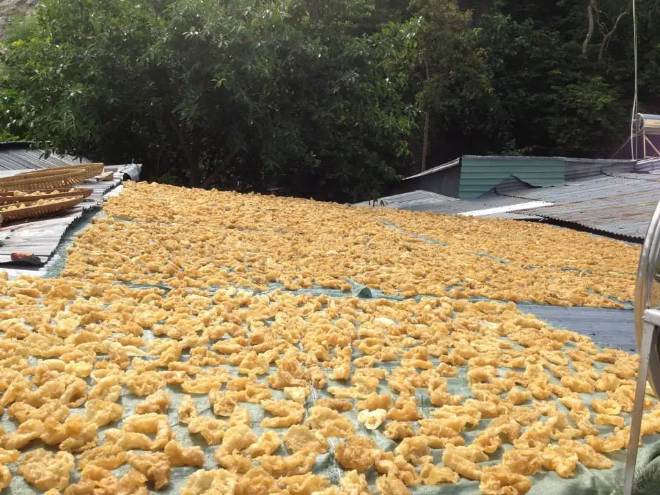 WHOLESALE FISH MAW FISH MAW WITH BEST PRICE