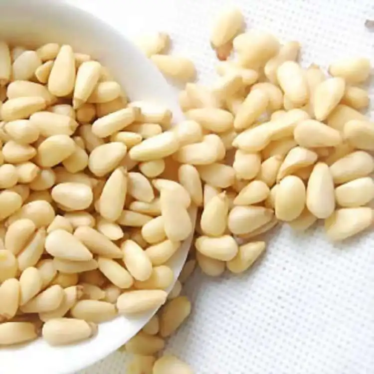 Pine Nut 111