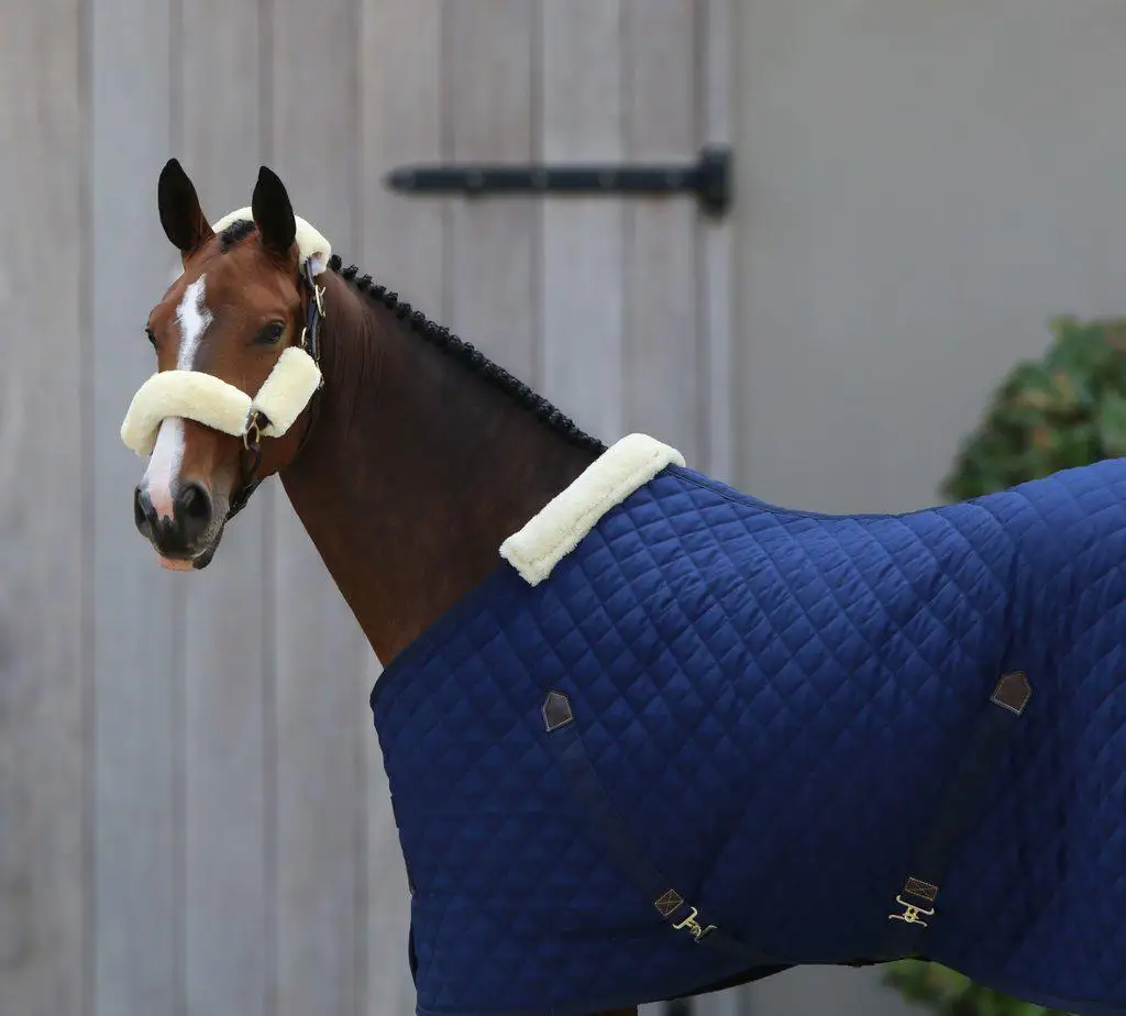 Лидер продаж оборудование для лошадей продукция Equine конный коврик дышащий комбинированный устойчивый