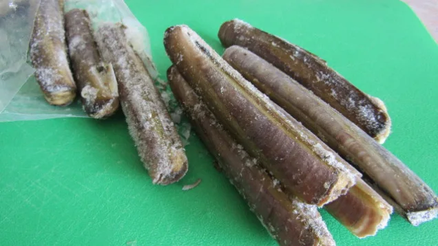 
Competitive Price Delicious IQF Frozen Razor Clam 