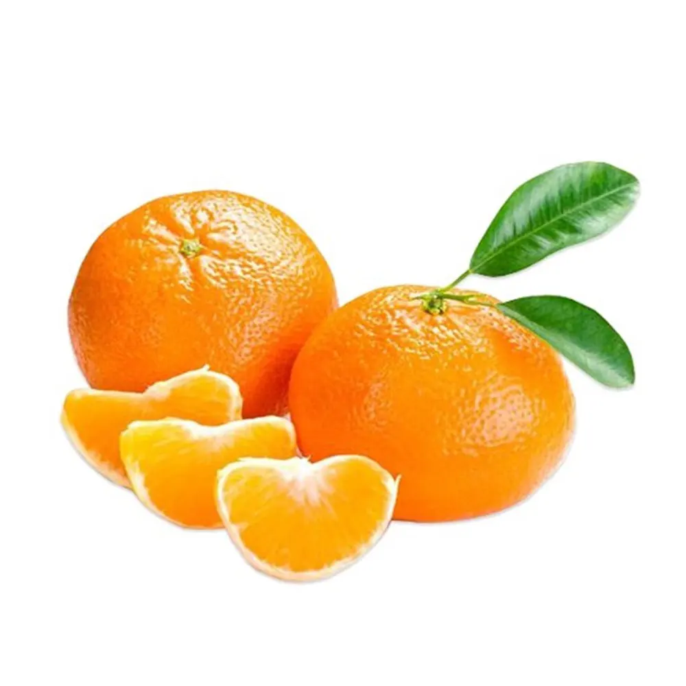 Fresh Mandarin Orange from Pakistan | Factory Direct Sale Good Quality Mandarin Orange