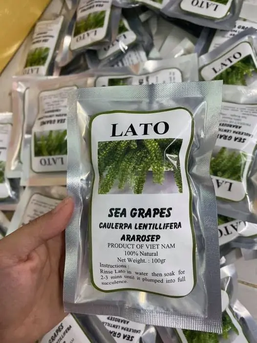 ATL GLOBAL - 100%  Organic Dehydrated Sea Grapes Or Lato Seagrapes