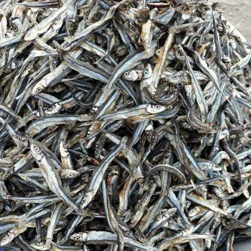 SUNDRIED SPRAT/ DRIED ANCHOVY FISH FROM VIETNAM WITH GOOD PRICE//Sven + 84 966722357