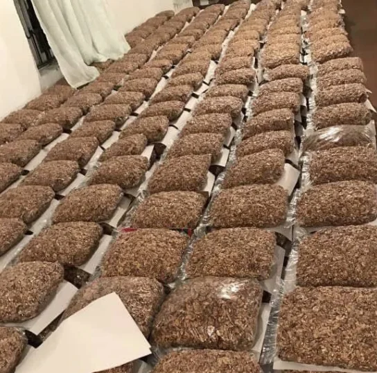 Uzbekistan wholesale walnut without shell walnut kernel