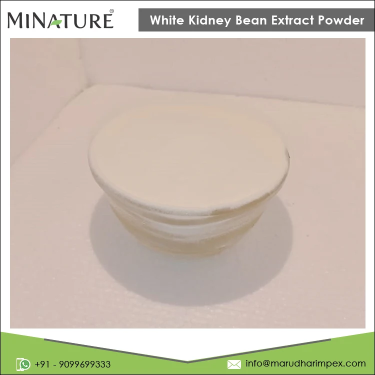 Индийский поставщик лучшего качества оптовая продажа чистый натуральный порошок экстракта белой фасоли для оптовой покупки