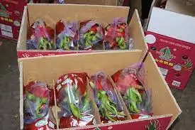 VIETNAM DRAGON FRUIT GREAT QUALITY FOR BUYERS WHATSAPP WECHAT VIBER 0084326572671