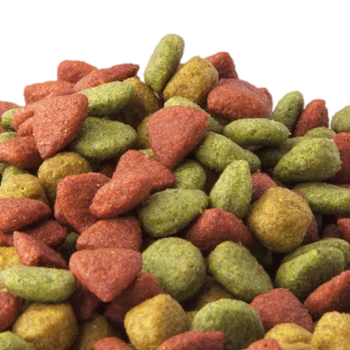 Dog food cheap price offer