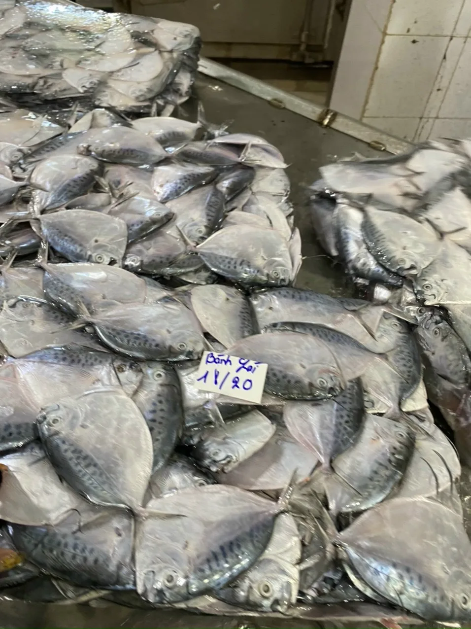Vietnam Seafood Supplier Frozen Sea Frozen Moonfish Whole round